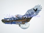 The Eagle (image for) The Eagle